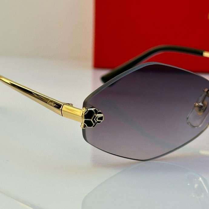 Picture of Cartier Sunglasses _SKUfw55487619fw